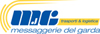nuovo-logo-mdg
