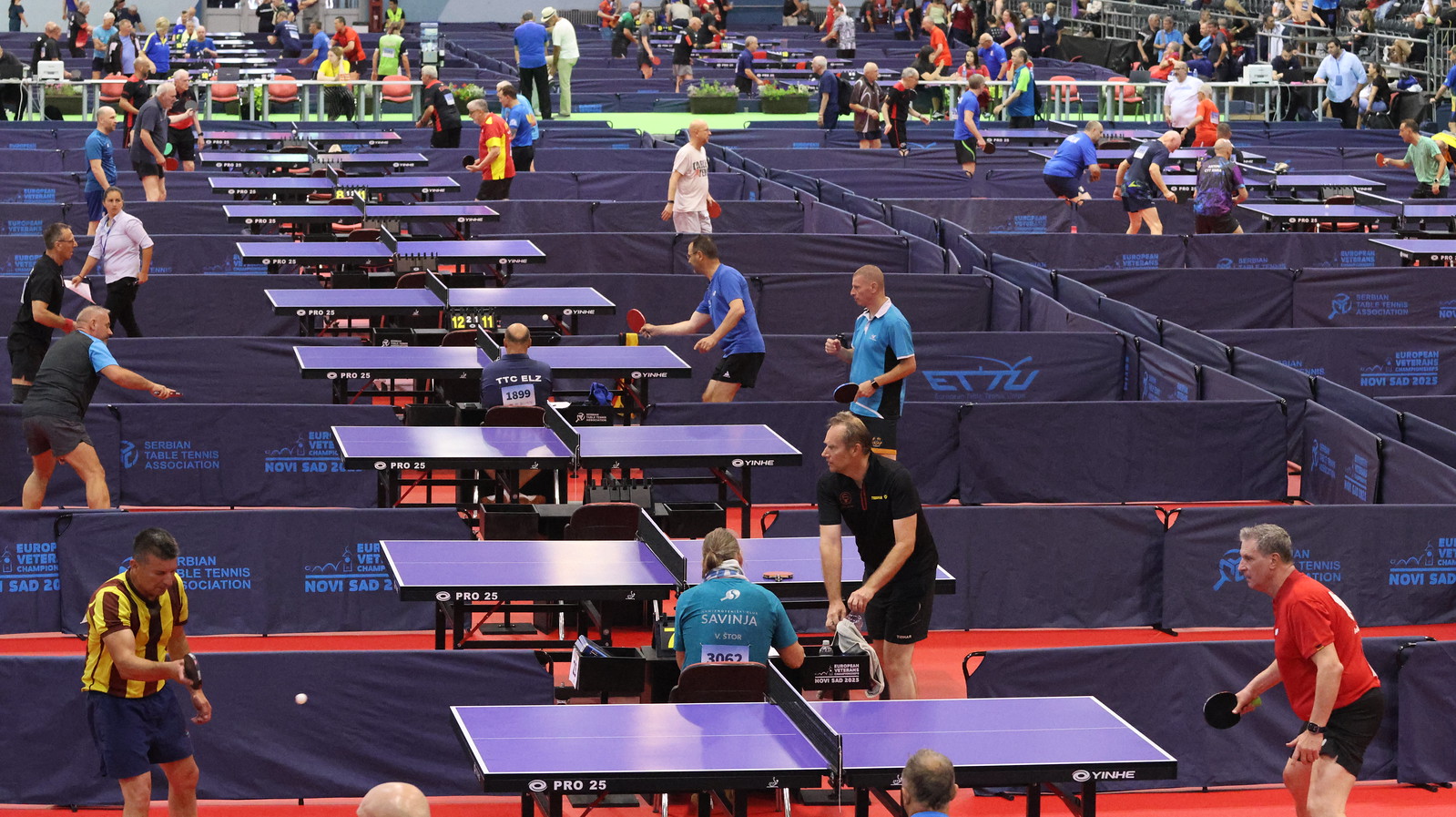 Campionati Europei Master di Novi Sad 2025 panoramica
