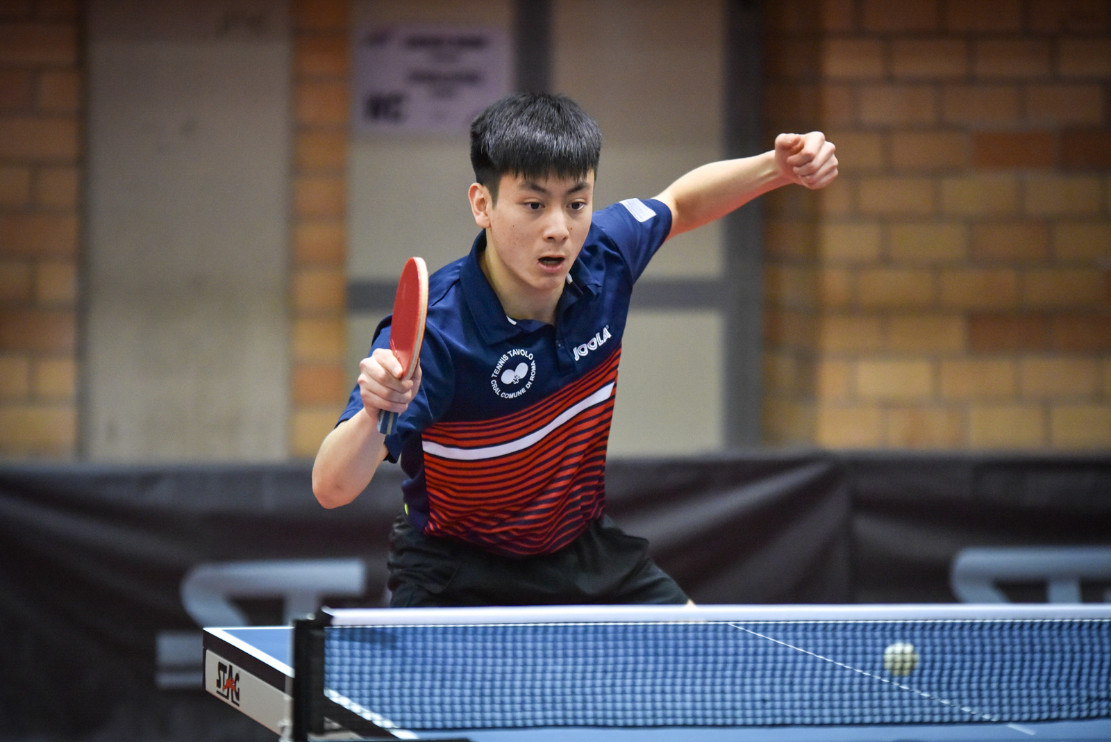Chen Shuainan Cral Comune di Roma 2018 2019