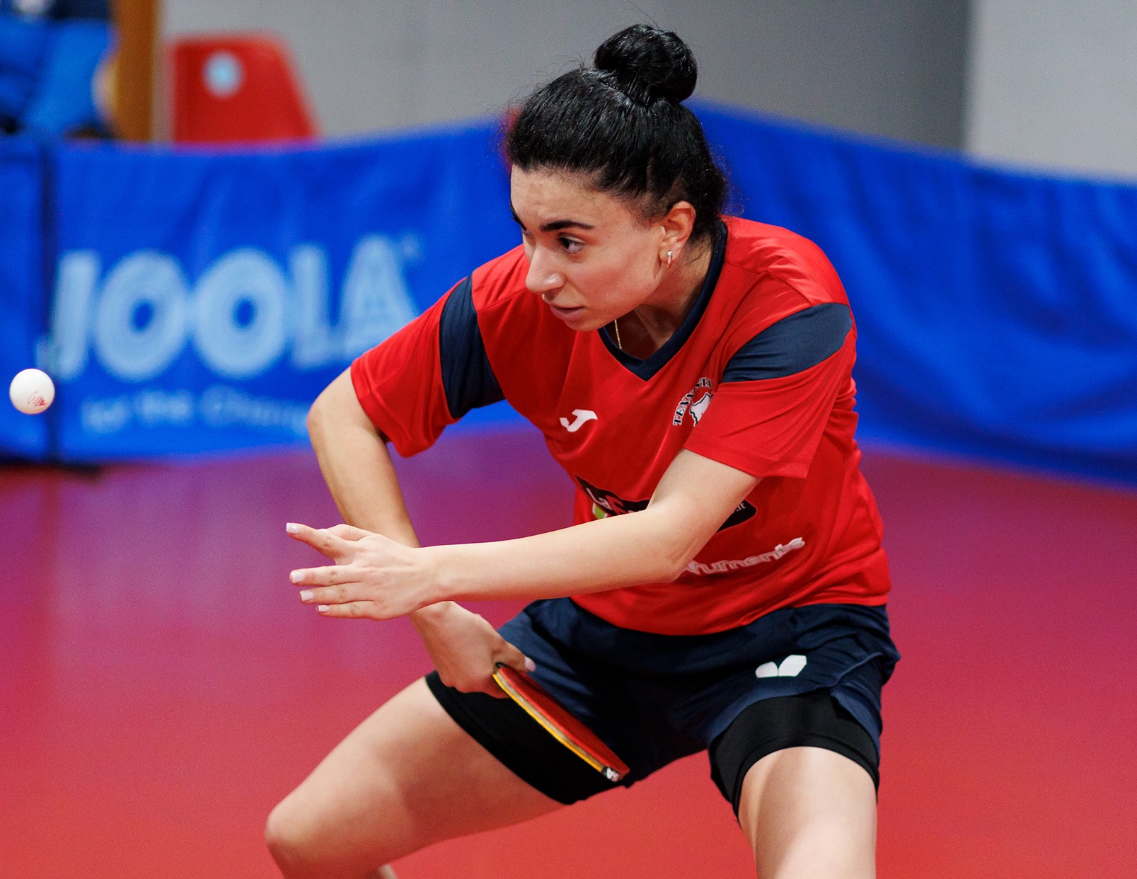 Elizabet Abraamian Quattro Mori Cagliari 2024 2025