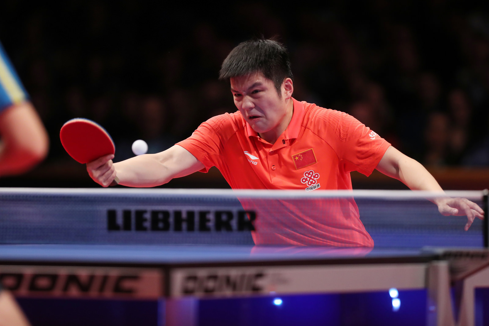 Fan Zhendong vince World Cup 2016