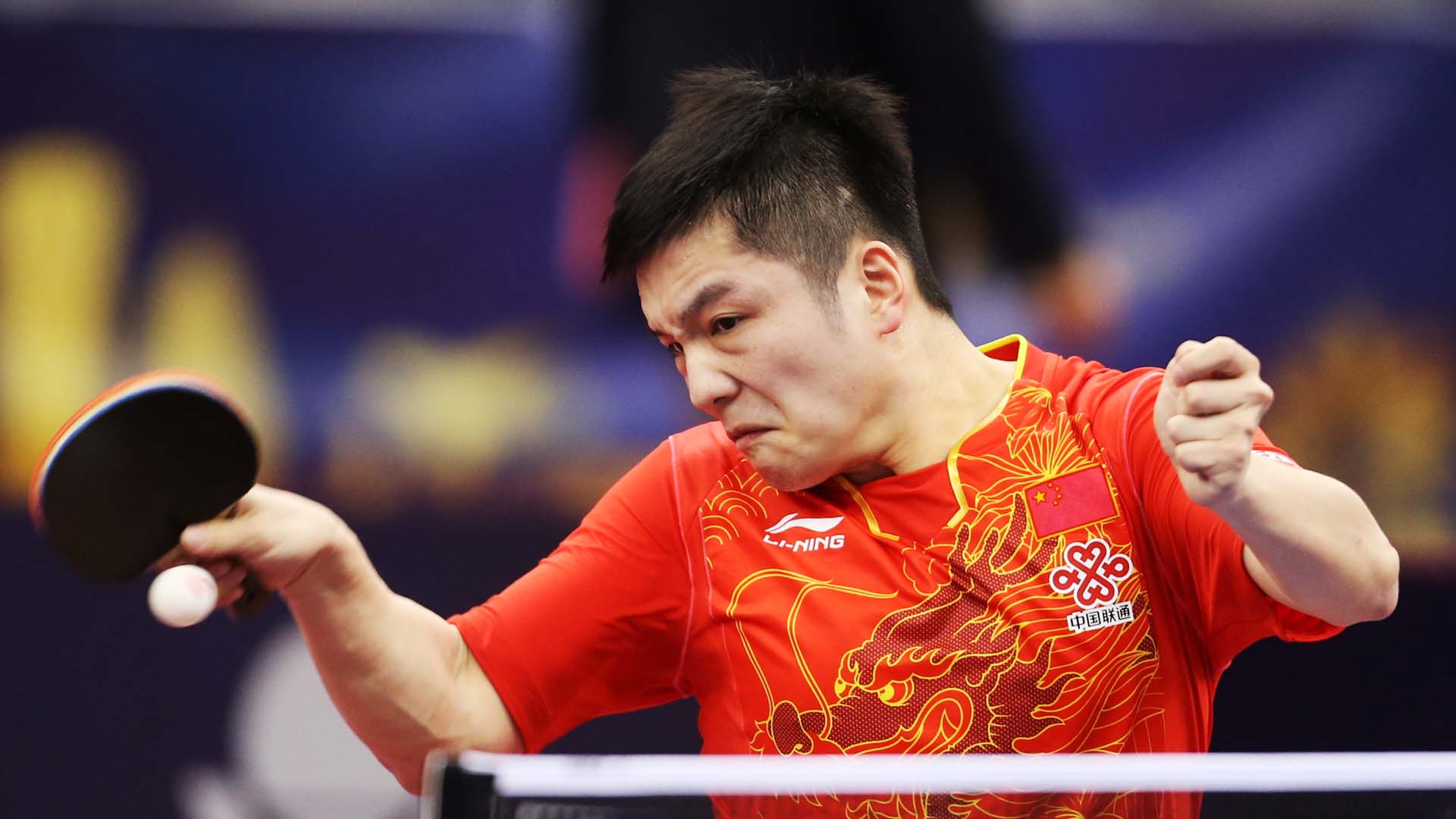 Fan zhendong