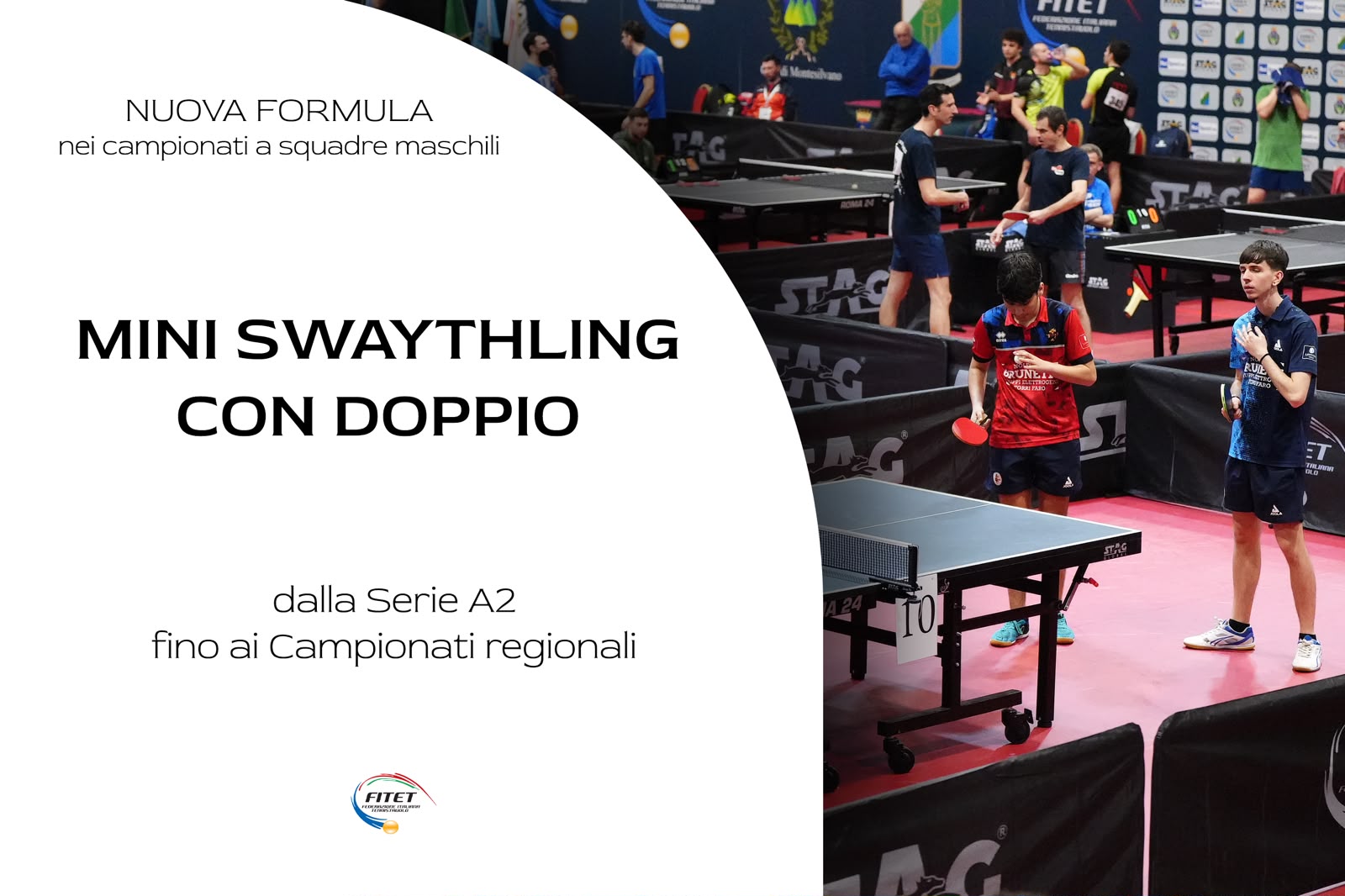 Formula Swaythling con Doppio 2026 2027 grafica