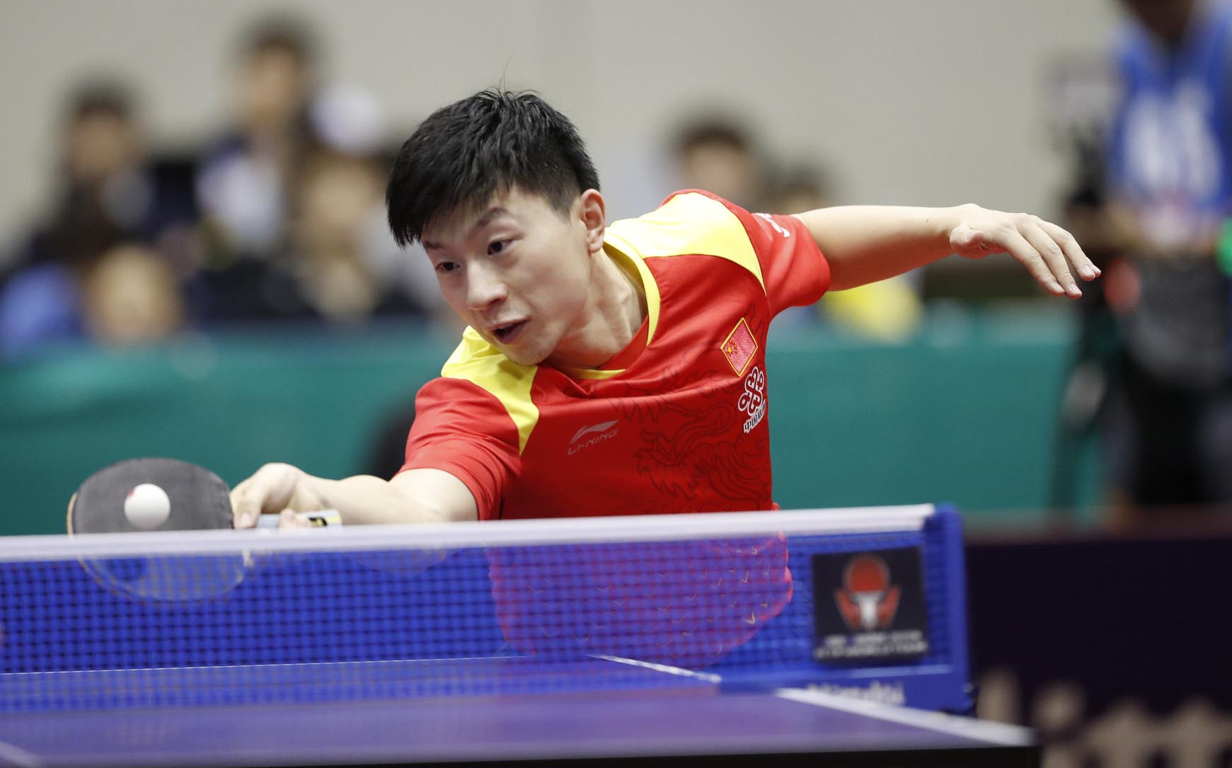 Ma Long in azione