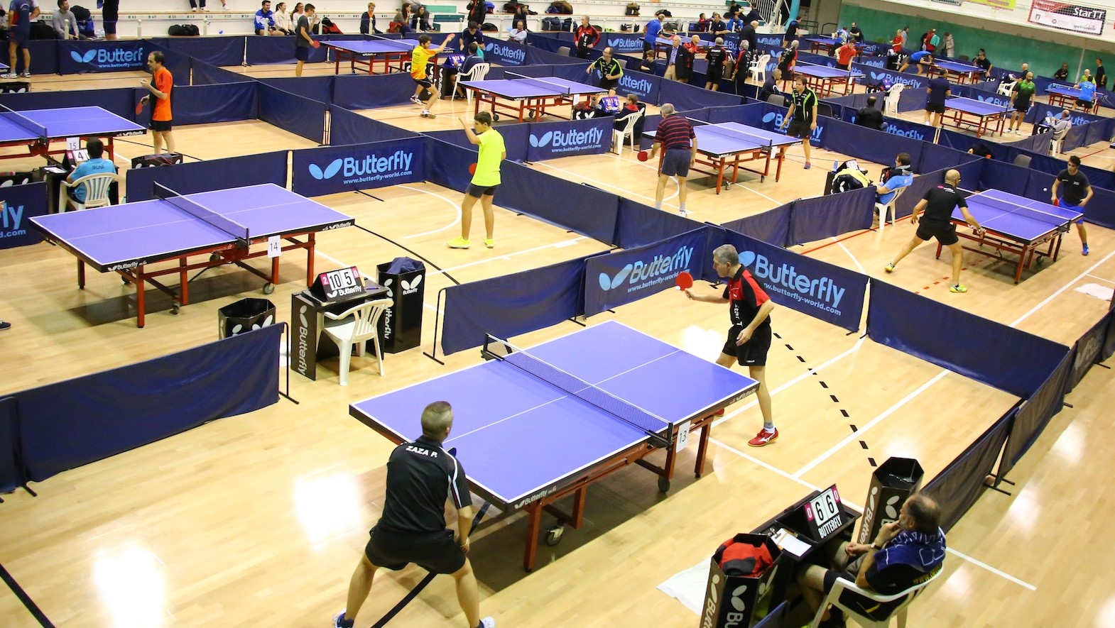 Paleste torneo nazionale
