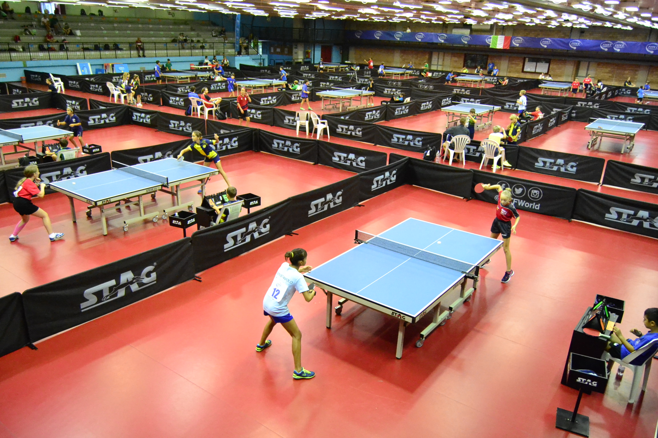 Ping Pong Kids 2022 panoramica