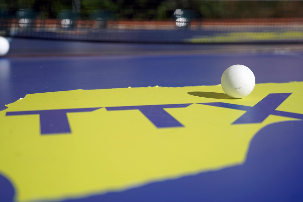 Table Tennis X tavolo e pallina