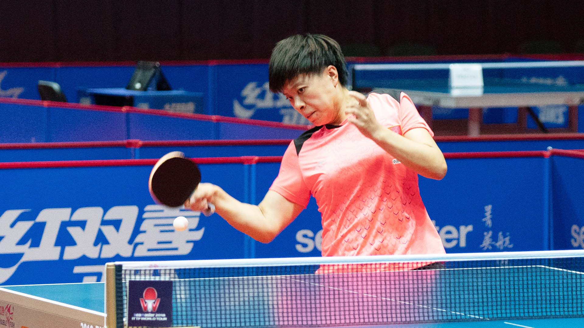 Wang Yidi