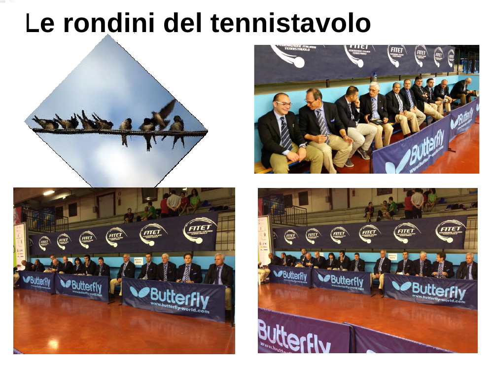 arbitrirondini