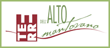 Logo Alto Mantovano web