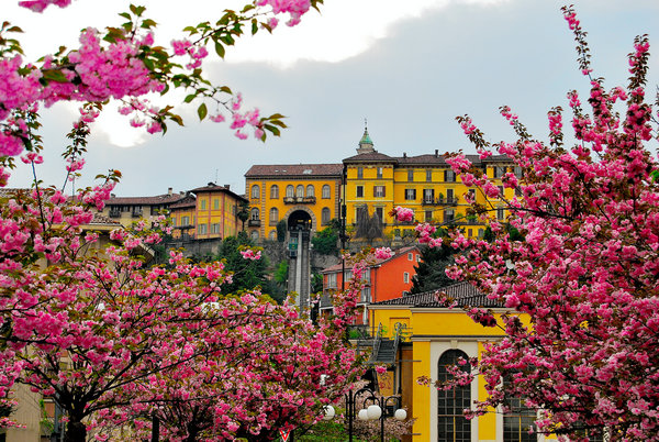 Funicolare del Piazzo rdm