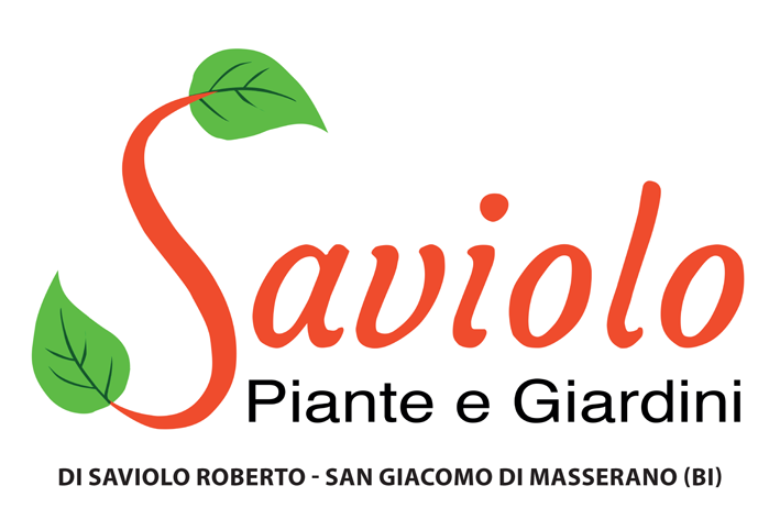 Saviolo logo 02