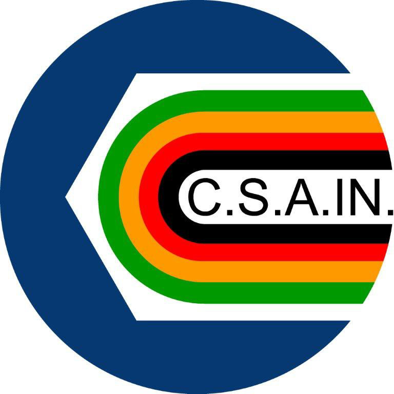 LogoCsain