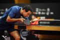 WTT_Feeder_Parma_2025_Mihai_Bobocica